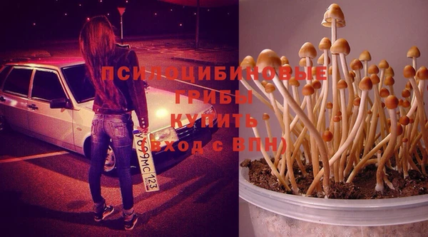 МДМА Новозыбков