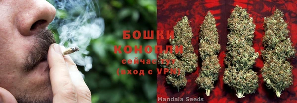 МДМА Новозыбков