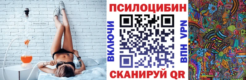 omg как зайти  Опочка  Галлюциногенные грибы Psilocybine cubensis  наркошоп 